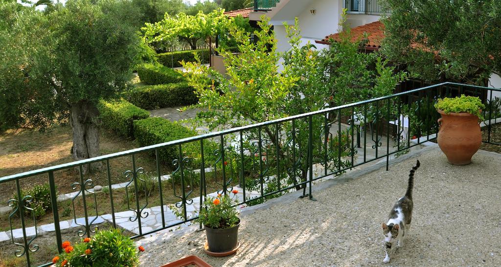 Aris Pension Aya Paraskevi Dış mekan fotoğraf