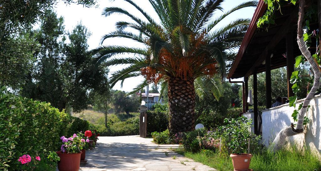 Aris Pension Aya Paraskevi Dış mekan fotoğraf