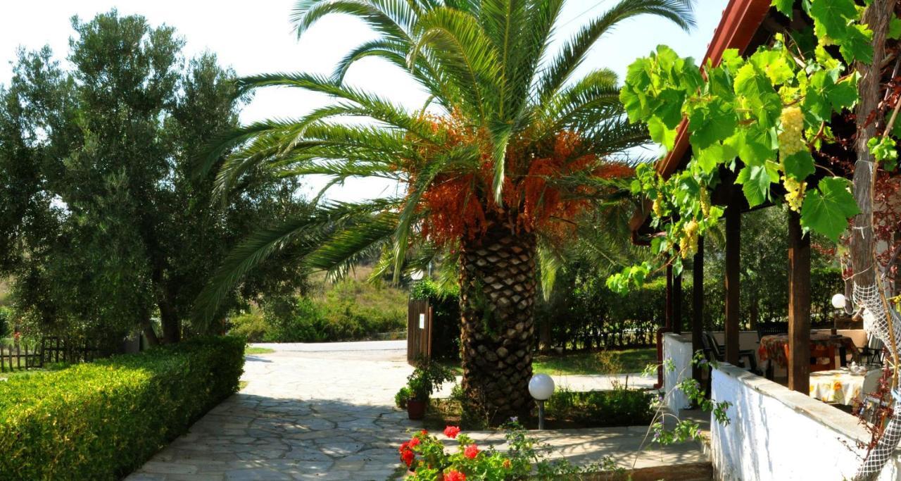 Aris Pension Aya Paraskevi Dış mekan fotoğraf